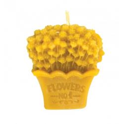 Kytica s levandu�ami