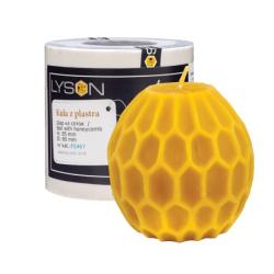 Gu�a zo v�elieho pl�stu