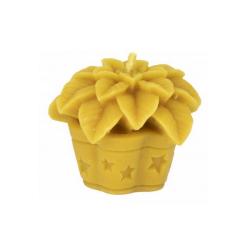 Viano�n� ru�a 1