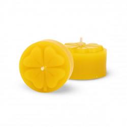 �ajov� svie�ka �tvorl�stok