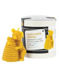 Medved�k s ko��kom